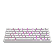 Dark Project ALU Terra Nostra White Wired + podkładka - 1456102 - zdjęcie 3